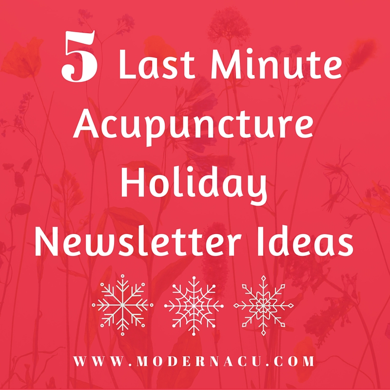 Modern Acupuncture Holiday Marketing Email Newsletter