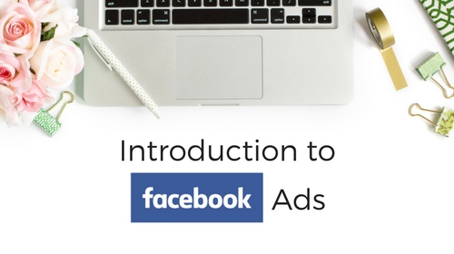 Facebook Ads for Acupuncturists Online Course. Frustrated with Ads Manager? Confused by Ads Manager? I walk you through it step-by-step and share my screen.