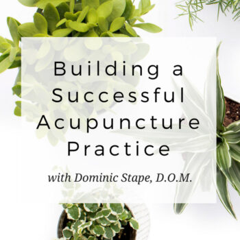 Building a Successful Acupuncture Clinic with Dominic Stape, DOM - www.MichelleGrasek.com