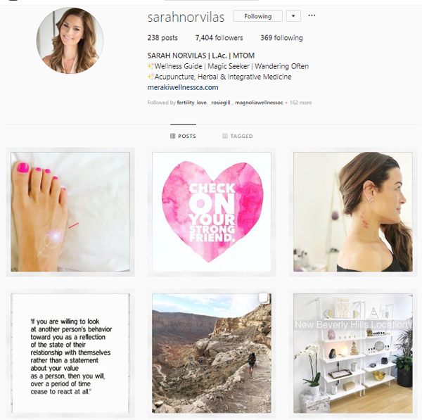 Level up your Instagram marketing - 14 acupuncturist Instagram accounts to inspire your social media. www.MichelleGrasek.com