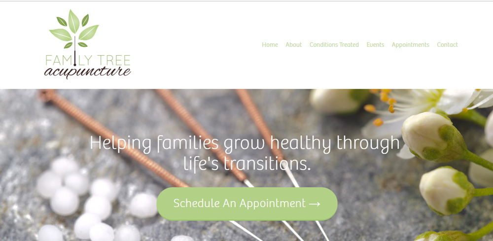 Family Tree Acupuncture website landingn page, with green and slate colors. Three acupuncture needles lay on a gray slate stone behind a green "Schedule Now" button.
