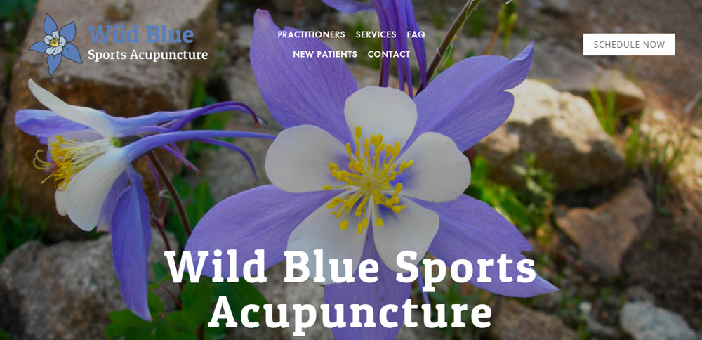 Wild Blue Sports Acupuncture Website Landing Page