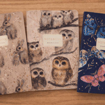 New springtime retail items selling well at my acupuncture practice - owl and butterfly notebooks on a wooden desk