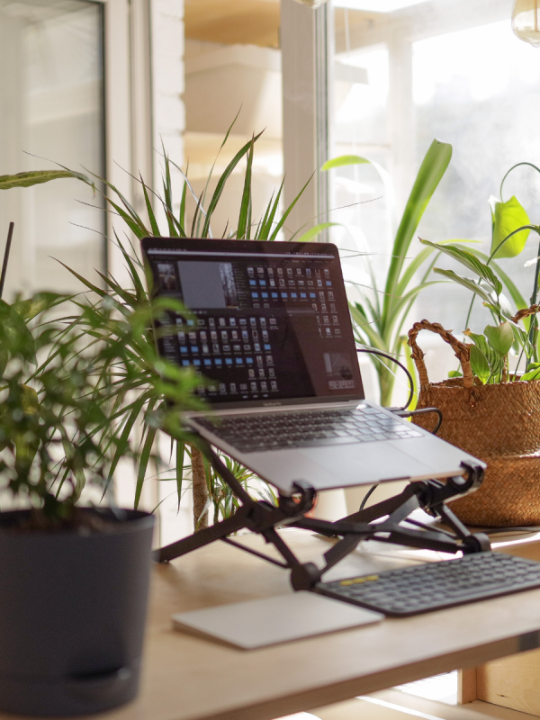 Laptop on a standing desk, surrounded by lush plants.